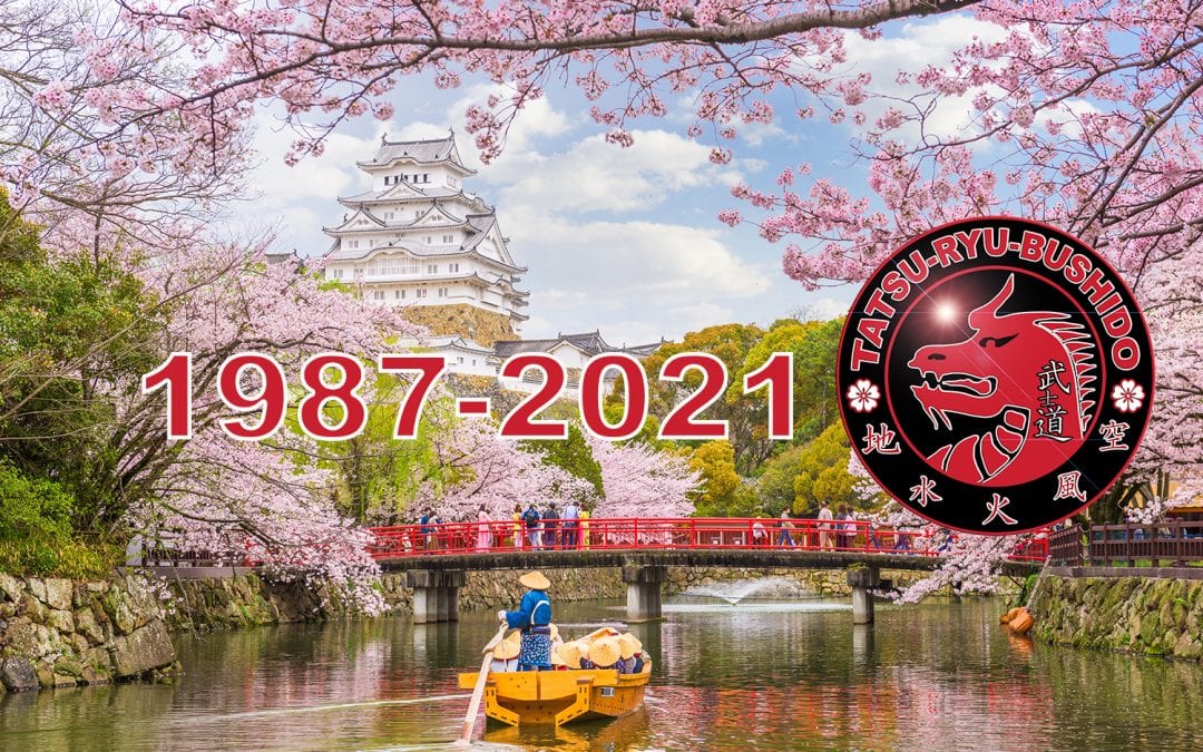 34 Jahre Tatsu-Ryu-Bushido – Eine kleine Zeitreise