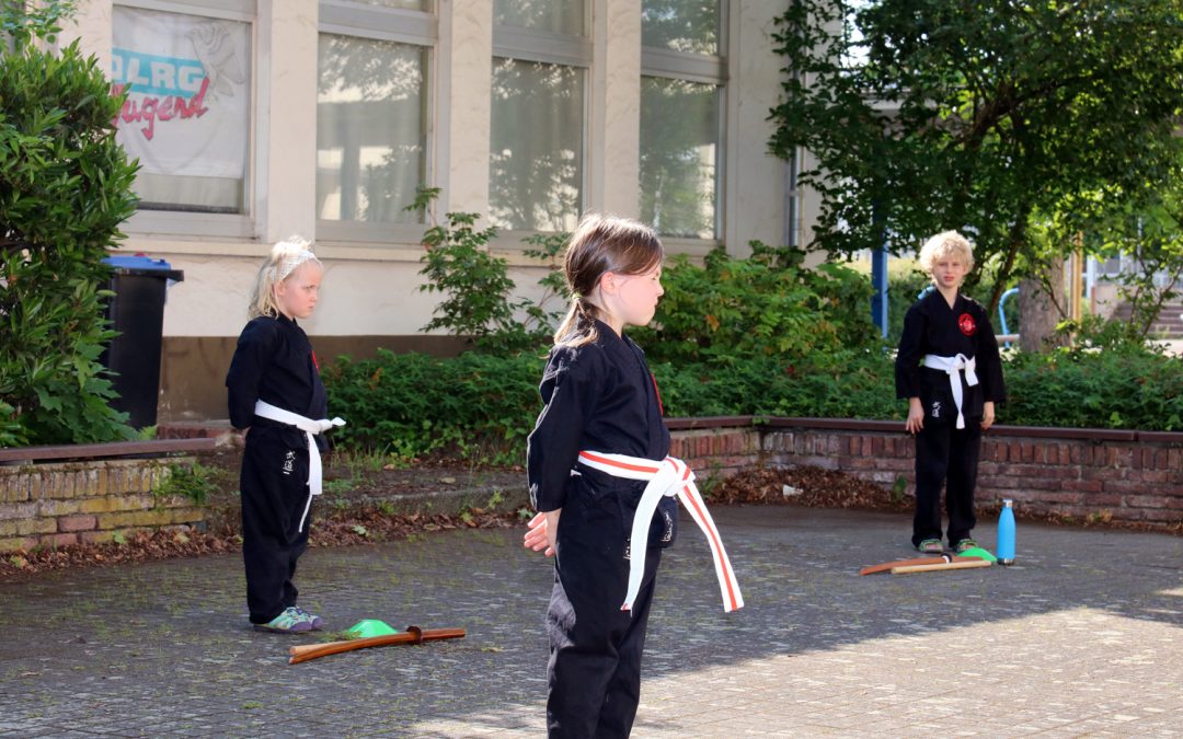 Training und Anfängerkurs in den Sommerferien in Limburgerhof