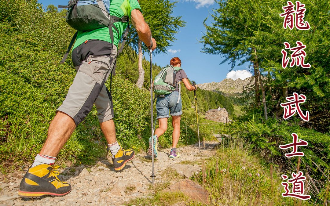 Nordic Walking für einen gesunden Körper gestartet