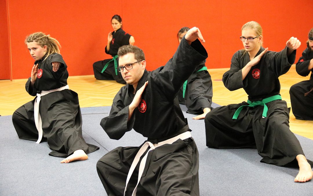 TRB Kampfkunsttraining in Limburgerhof wieder in der Halle