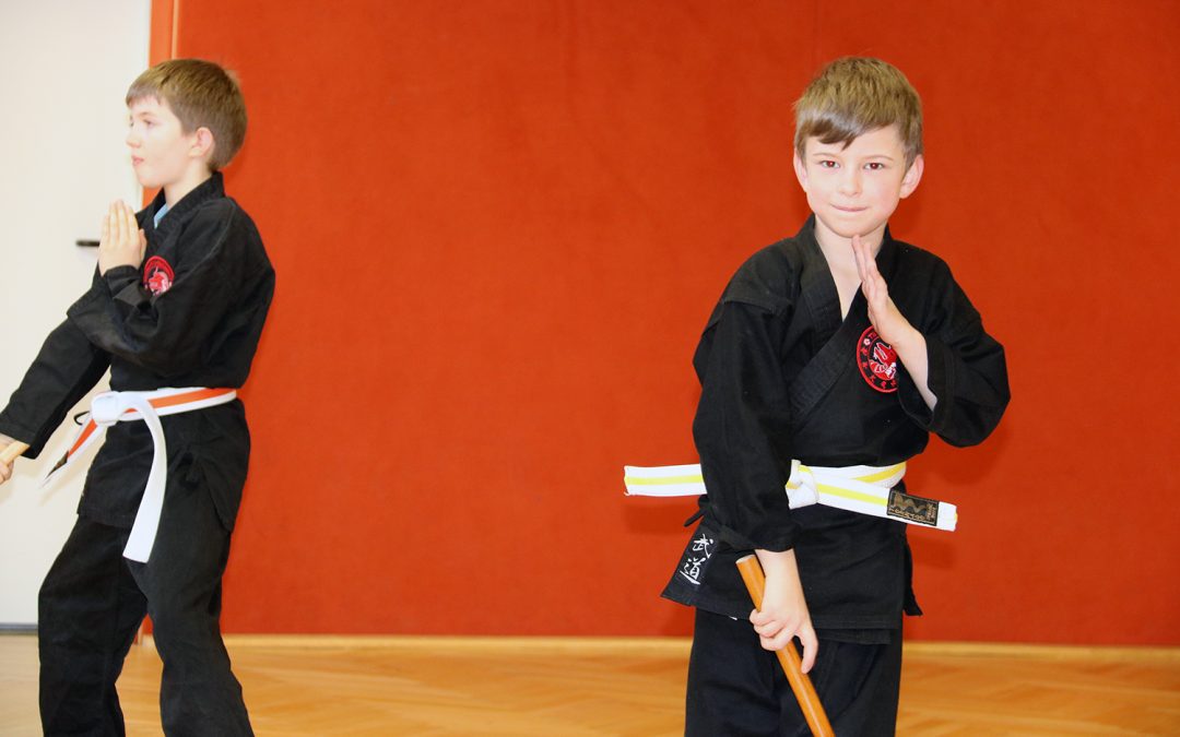 Tatsu-Ryu-Bushido Schnuppertraining für Kinder 5 bis 9 Jahren