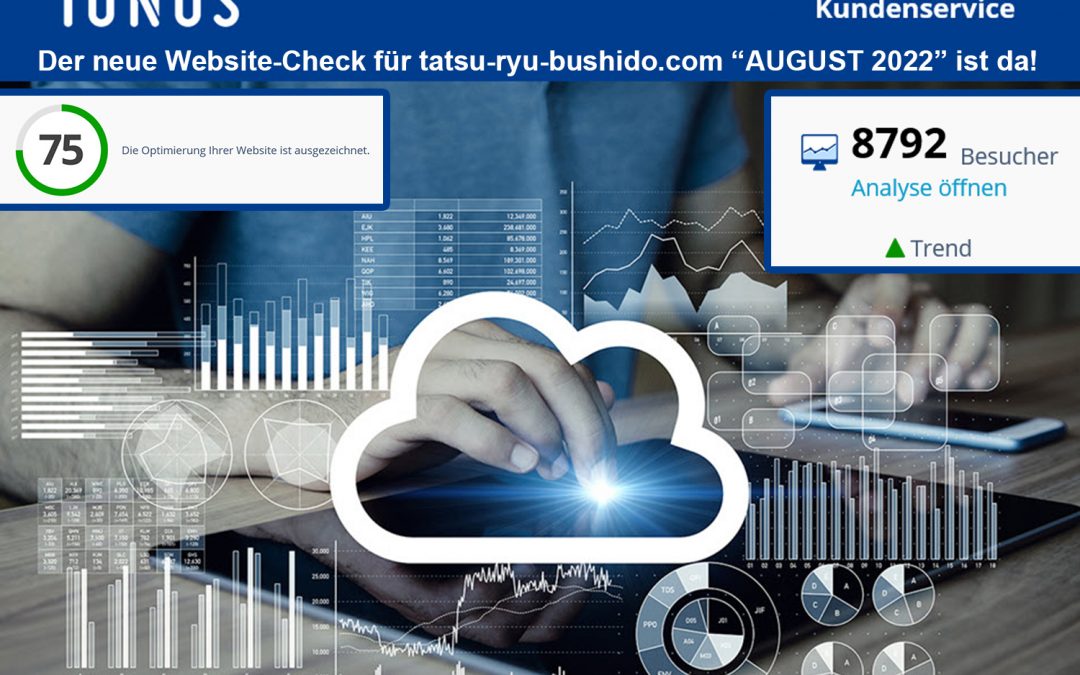Website-Check von IONOS – Im August 8.792 Besucher