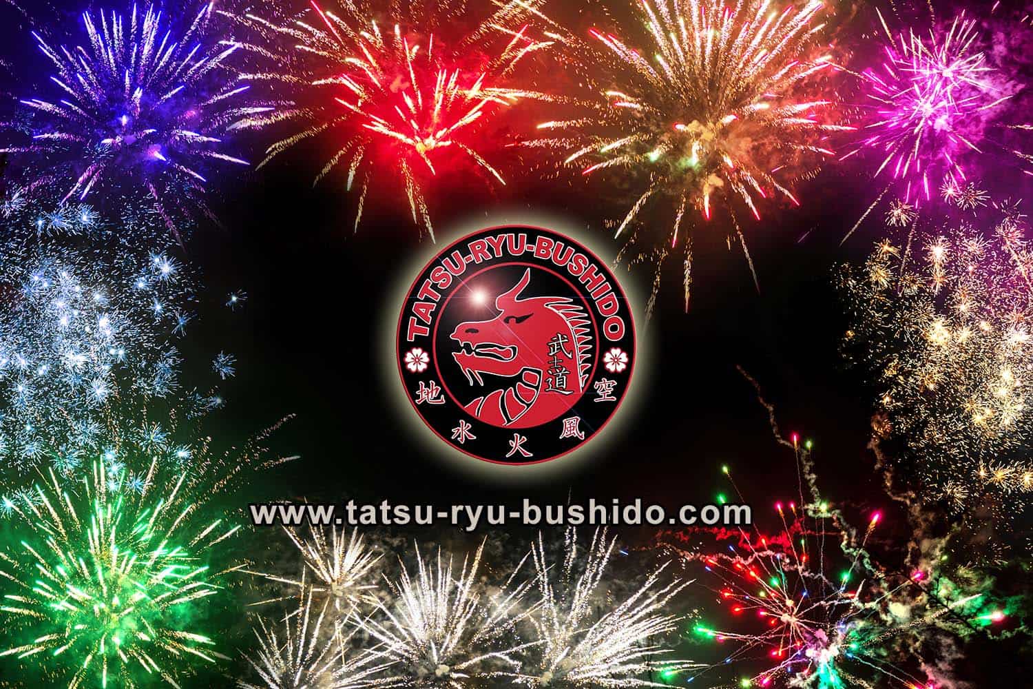 Feuerwerk mit TRB-Logo