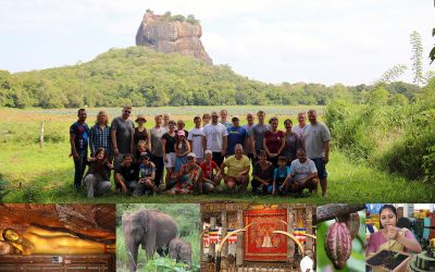 Rundreise durch Sri Lanka mit zahlreichen Sehenswürdigkeiten
