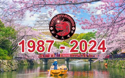 37 years of Tatsu-Ryu-Bushido – It all started on 4 April 1987