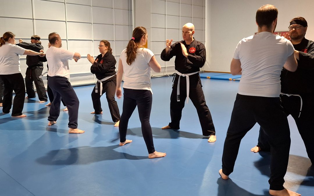 🇬🇧 The next samurai beginner’s course starts in Mutterstadt