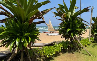 🇩🇪 🇬🇧 🇱🇰 Umfrage Interesse Sri Lanka Reise Osterferien 2026