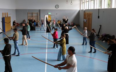 🇬🇧 Full Tatsu-Ryu Bushido taster course on Sunday